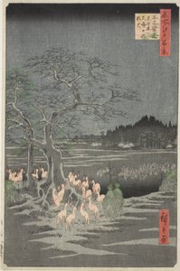 Fox Fires on New Year