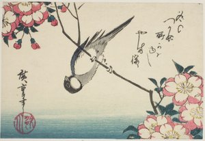 Great Tit on Cherry Blossom Branch by Utagawa Hiroshige