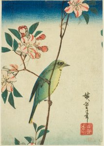 Japanese White-eye on Flowering Branch by Utagawa Hiroshige