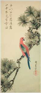 Macaw on a pine branch by Utagawa Hiroshige