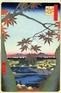 Maple Trees at Mam, Tekona Shrine and Linked Bridge, plate 94 from the series One Hundred Views of Edo, Edo Period, Ansei Era, 1857 by Utagawa Hiroshige