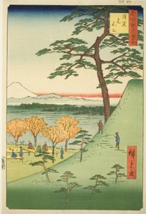 Original Fuji, Meguro (Meguro Moto-Fuji), from the series "One Hundred Famous Views of Edo (Meisho Edo hyakkei)"