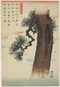 Pine Tree by Utagawa Hiroshige