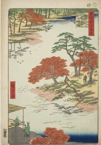 Precincts of the Akiba Shrine, Ukeji, from the Series 