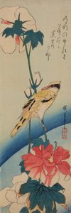 Bird (Yellow Kingfisher) on a Branch of Chinese Rose / Fuyo-ni koraiuguisu