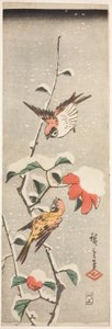 Sparrows and Camellia in Snow