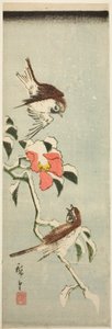 Sparrows and Camellia in Snow by Utagawa Hiroshige