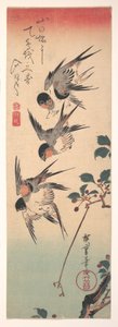 Swallows and Budding Wild Cherry