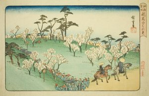 Viewing Cherry Blossoms at Asuka Hill, from the series "Famous Places in Edo" by Utagawa Hiroshige