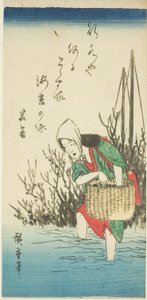 Woman Gathering Seaweed by Utagawa Hiroshige