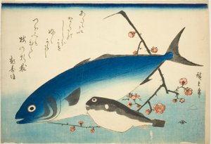Yellowtail, Blowfish, and Plum Branch by Utagawa Hiroshige