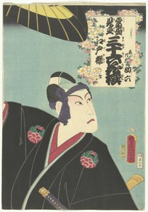 Cherry Blossom of Edo