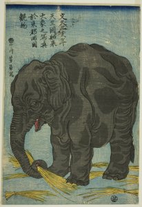 Picture of Large Elephant from India, An Attraction at Ryogoku in the Eastern Capital by Utagawa Yoshikazu