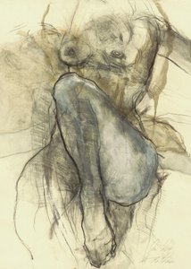 Human Form Study