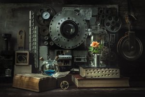 Steampunk Rose Study by Vadim Kulinsky