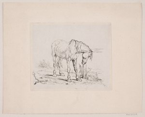 An Old Horse by Valdemar Irminger