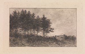 August Evening