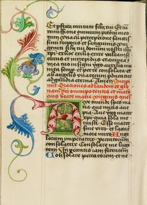 Decorated Initial A by Valentine Noh