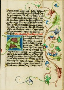 Decorated Initial A by Valentine Noh
