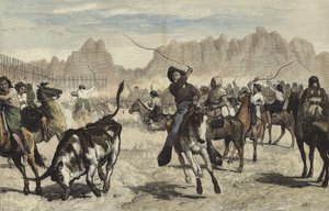 Driving Cattle into a Corral, Nebraska