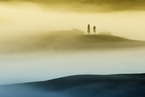 Misty Golden Hills by Vanja Tajnsek