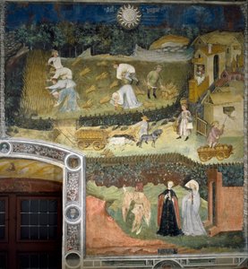 August: Harvest in a Wheat Field