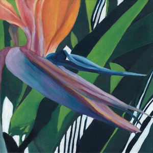Vibrant Bird of Paradise