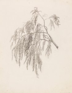 Branch by Victoria Åberg
