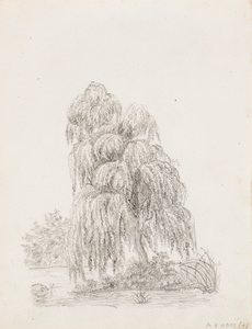 Broad-Leaved Tree by Victoria Åberg