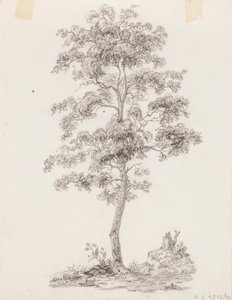 Tree by Victoria Åberg