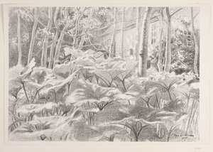 From a Garden by Viggo Langer