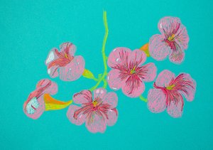 Pink Floral Drawing by Viktoriia Saunina