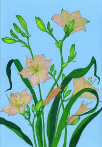 Soft Peach Blooms by Viktoriia Saunina