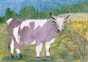 Spotted Cow Pasture