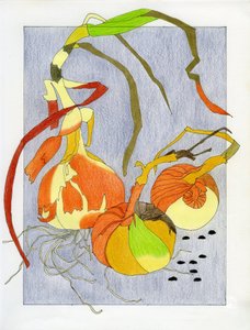 Sprouting Onions Still Life