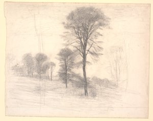 Landscape with Scattered Trees. "Ryet" by Farum Lake