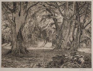 The Interior of a Forest by Vilhelm Kyhn