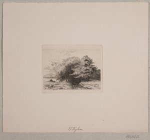 Edge of a Forest by Vilhelm Kyhn