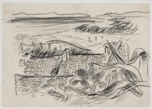 Landscape with Agave