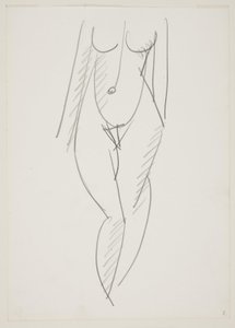 Standing Naked Woman Seen from the Front