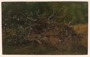 Study of a Tree Stump by Vilhelm Petersen