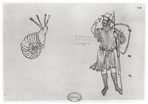 Snail and Hungarian Soldier (facsimile copy) by Villard de Honnecourt