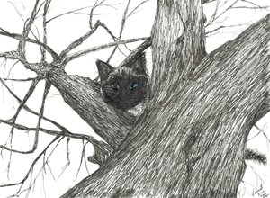 Apple Tree Baby by Vincent Alexander Booth