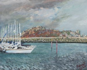 Howth, Ireland, 2001 by Vincent Alexander Booth
