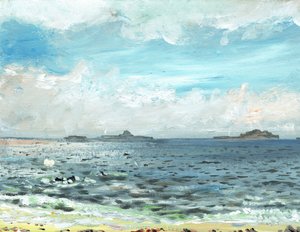 Iona Beach by Vincent Alexander Booth