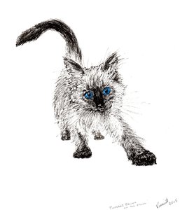 On the Prowl! by Vincent Alexander Booth