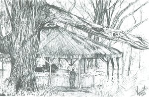 Outdoor Bar, Lake Naivasha