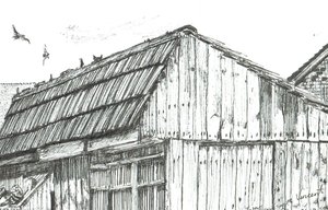 Pigeon loft
