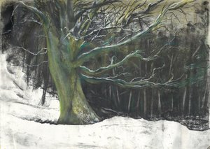 Tree in winter snow at Osmotherley woods by Vincent Alexander Booth