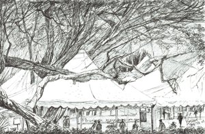 Wedding tents at Lake Navaisha Kenya, 2003